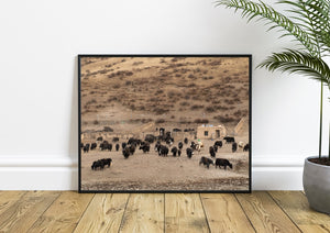 Yak ranch at the base of a Tibetan mountain | Photo Art Print fine art photographic print