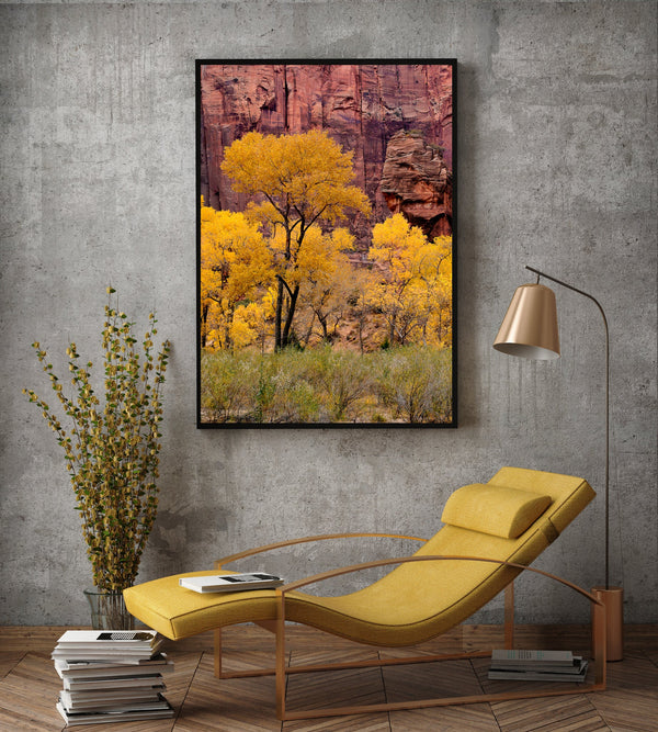 Yellow fall color against red cliffs | Photo Art Print fine art photographic print